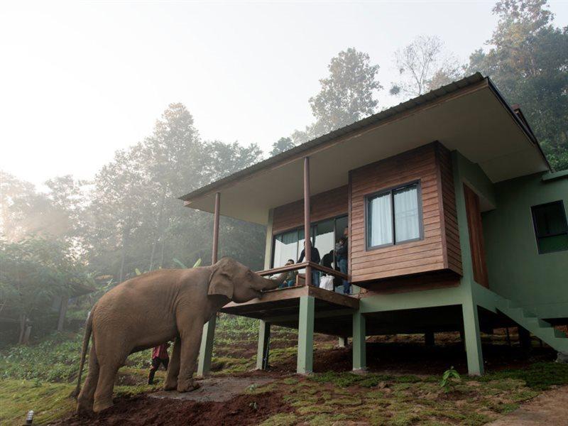 Chiang Mai Elephant Friends Exterior photo
